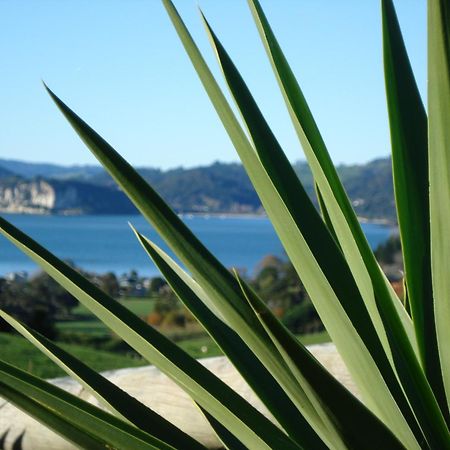Ohuka Place Homestay Whitianga Εξωτερικό φωτογραφία