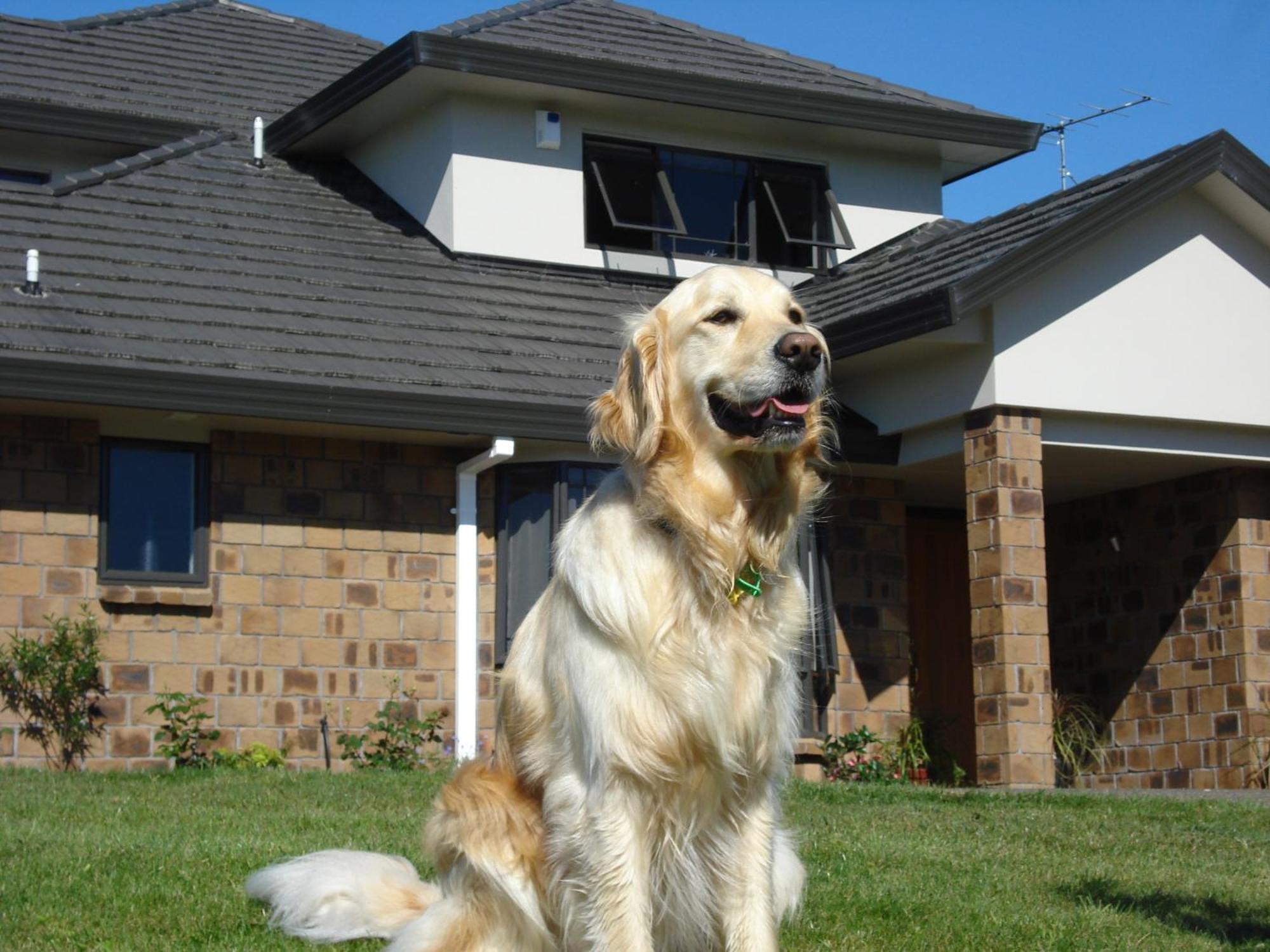 Ohuka Place Homestay Whitianga Εξωτερικό φωτογραφία