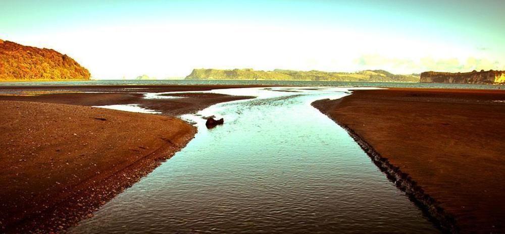 Ohuka Place Homestay Whitianga Εξωτερικό φωτογραφία