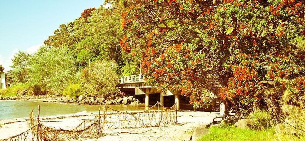 Ohuka Place Homestay Whitianga Εξωτερικό φωτογραφία